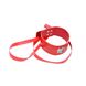 Набір MAI BDSM STARTER KIT Nº 75 Red: батіг, кляп, наручники, маска, нашийник, мотузка, затискачі
