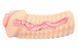 Мастурбатор Kokos Elegance 006 Double Layer, тілесний