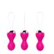 Вагинальные шарики Vibrating Silicone Kegel Balls USB 10 Function / Remote control -Pink