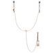 Затискачі для клітора та сосків Fifty Shades Freed All Sensation Nipple and Clitoral Chain