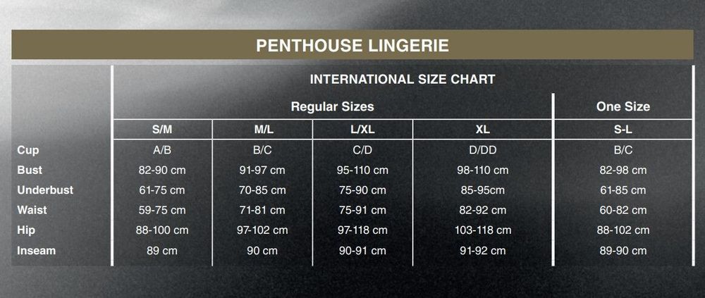 Міні-сукня Penthouse Bedtime Surprise S/L Black, велика сітка, рукави, вертикальні вставки