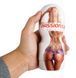 Вагина-мастурбатор CANWIN Passion Cup - Vagina, CAN-M211-3, телесный