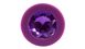 Анальная пробка Colorful Joy Jewel Purple Plug Medium от Orion