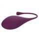 Набор вагинальных шариков California Exotics Kegel Training 5-Piece Set