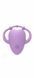 Кліторальний вібратор Sweet Play Vibrating Massager APP Controlled A5, Фіолетовий