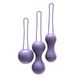 Преміум набір вагінальних кульок Je Joue - Ami Purple
